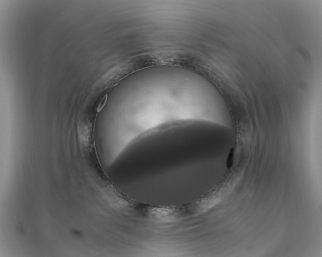 X0000110950139200906261328