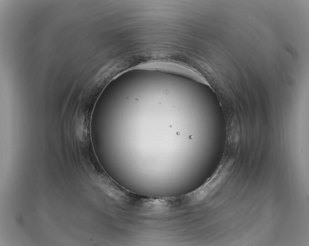 X0000110950140200906261328