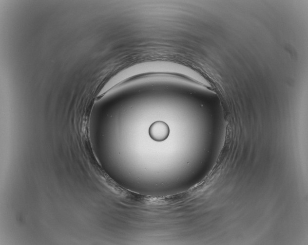 X0000110950141200906261328