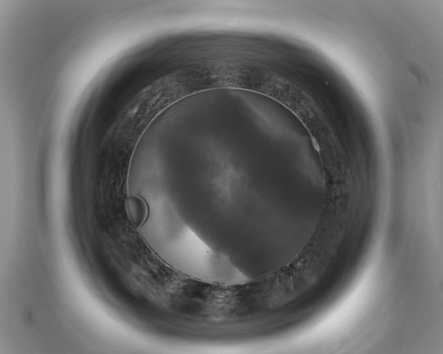 X0000110950143200906261328