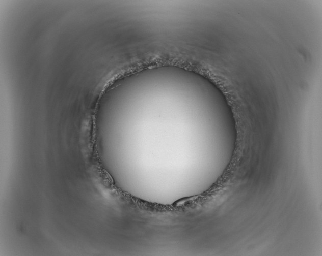 X0000110950144200906261328