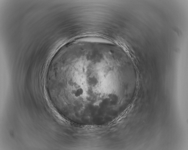 X0000110950145200906261327