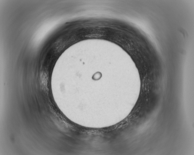 X0000110950146200906261327