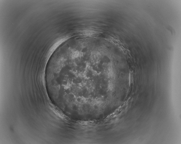 X0000110950147200906261327