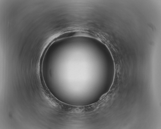 X0000110950148200906261327