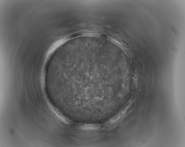 X0000110950149200906261327