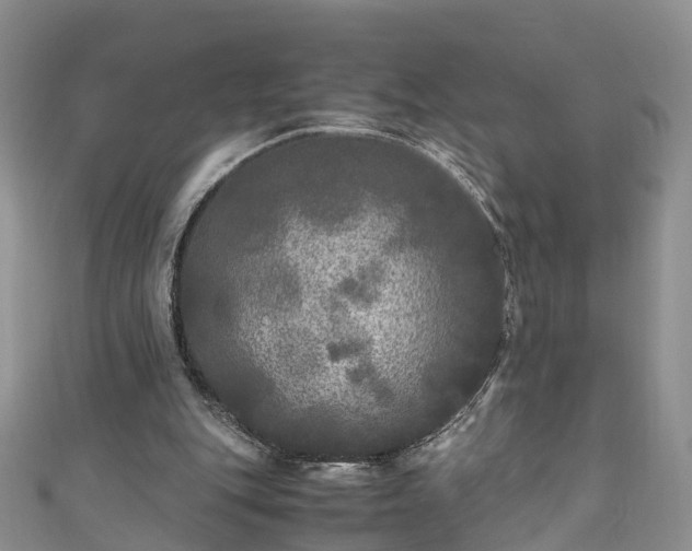 X0000110950151200906261327