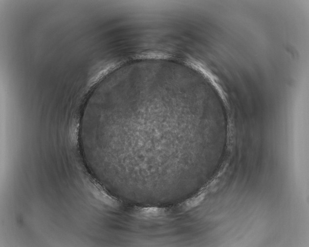 X0000110950153200906261328