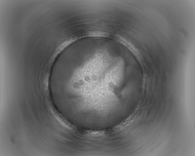 X0000110950155200906261328