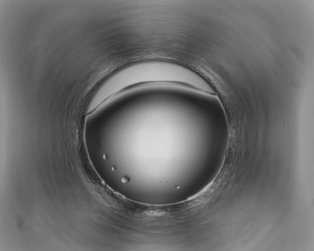 X0000110950158200906261328