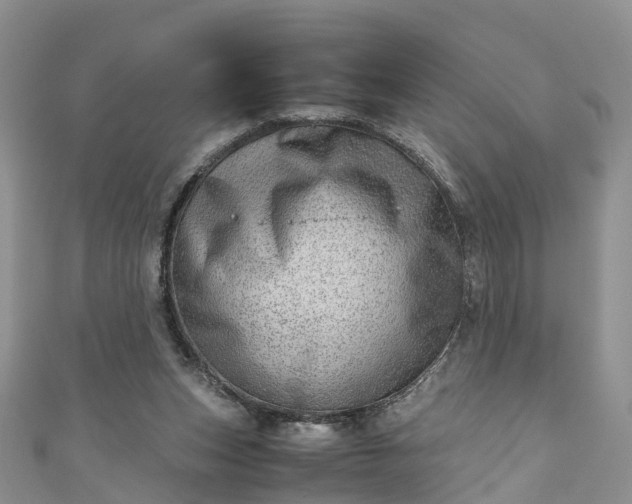 X0000110950159200906261328