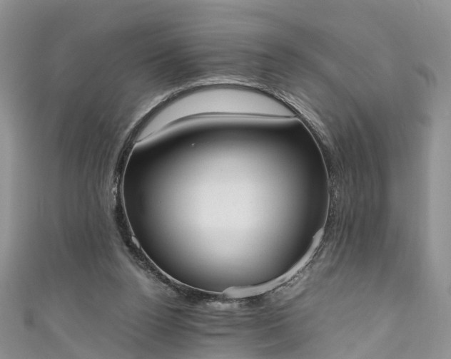 X0000110950160200906261328