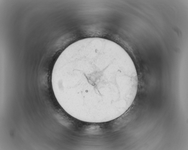 X0000110950162200906261328