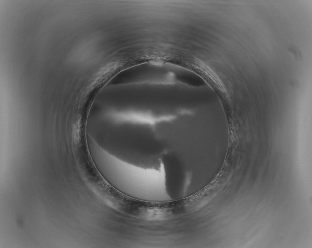 X0000110950163200906261328