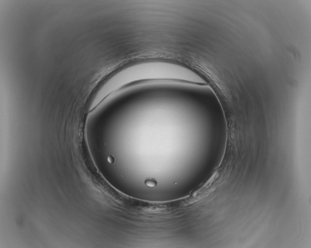 X0000110950164200906261328