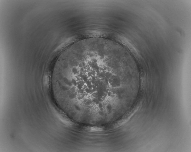 X0000110950165200906261328