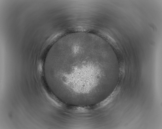 X0000110950166200906261328