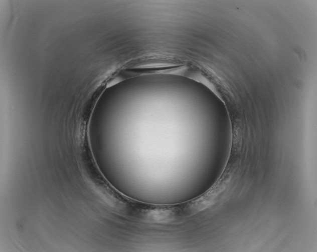 X0000110950168200906261328