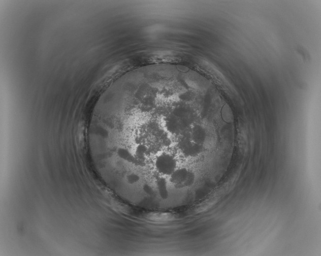 X0000110950169200906261328