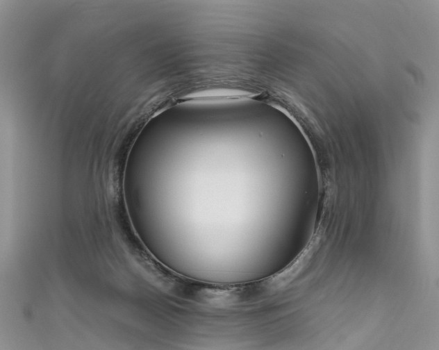 X0000110950170200906261328