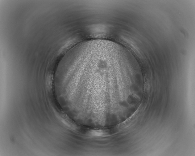 X0000110950171200906261328