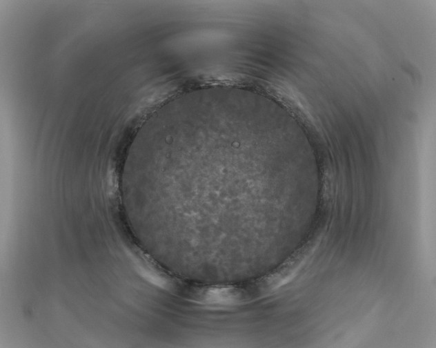 X0000110950173200906261328