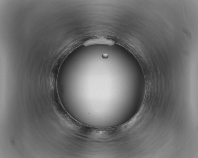 X0000110950174200906261328