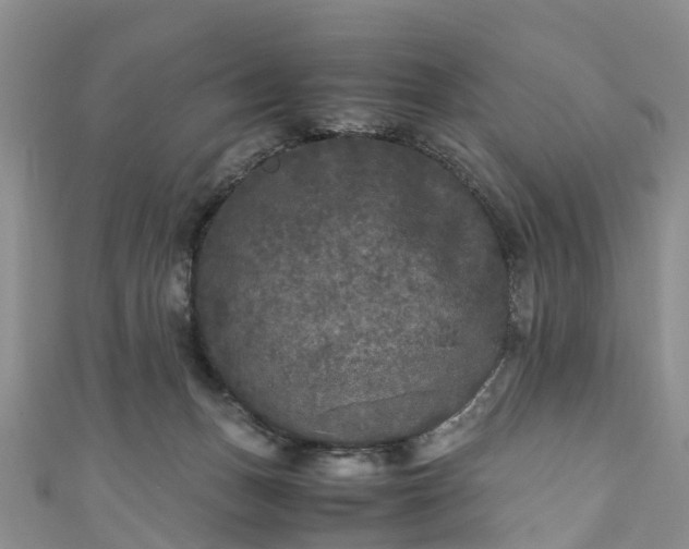 X0000110950175200906261328