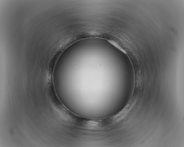 X0000110950176200906261328