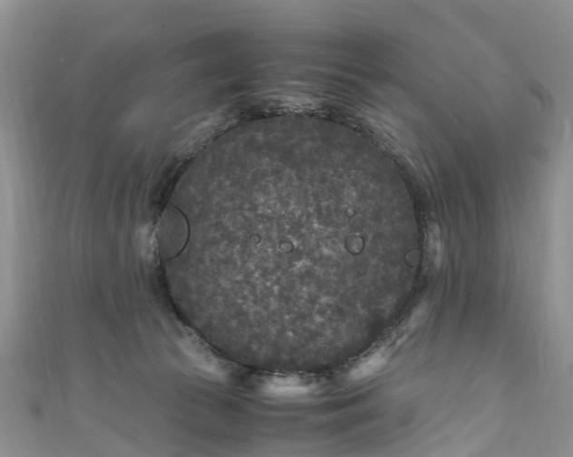 X0000110950177200906261328