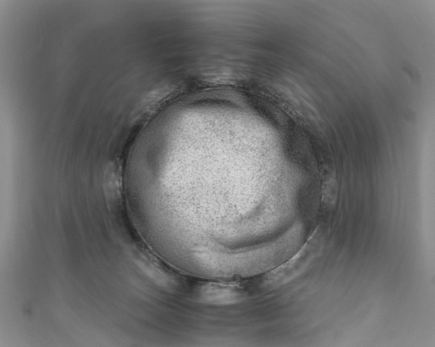 X0000110950179200906261328