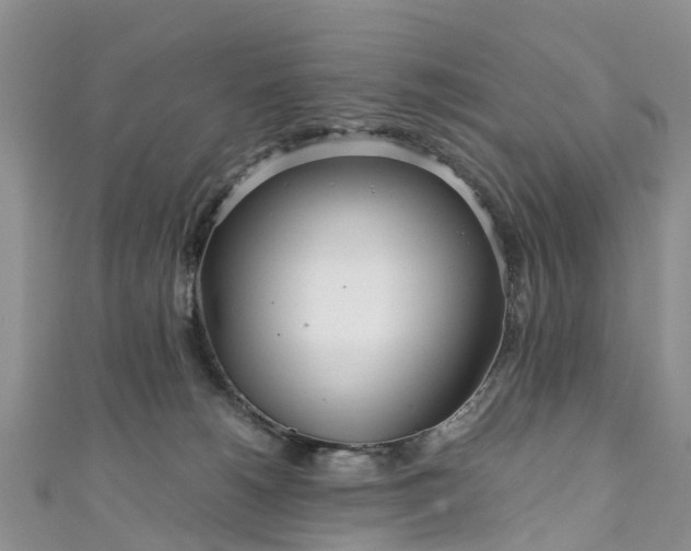 X0000110950180200906261328