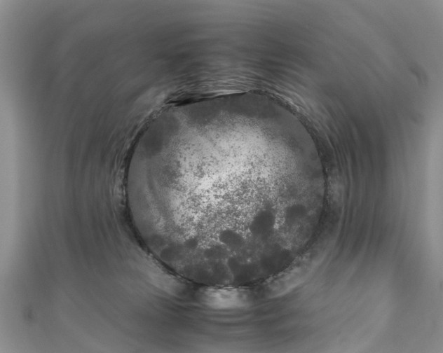 X0000110950181200906261328