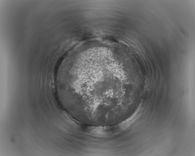 X0000110950182200906261328