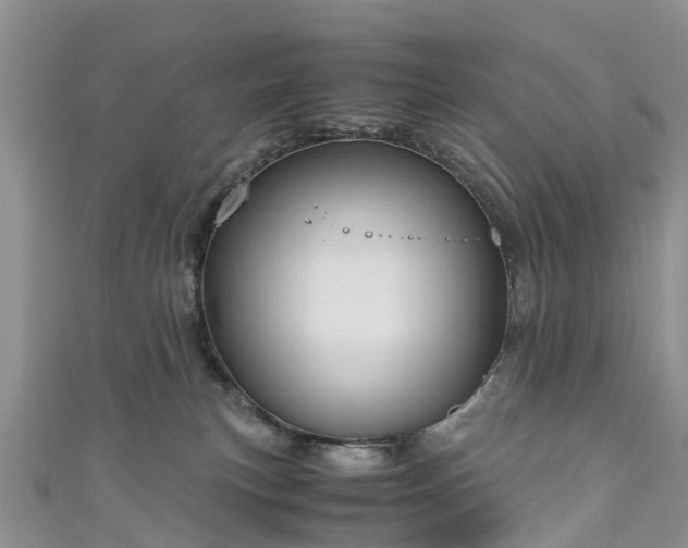 X0000110950183200906261328