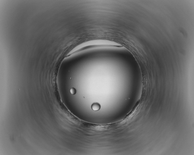 X0000110950184200906261328