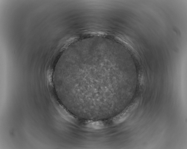 X0000110950185200906261328