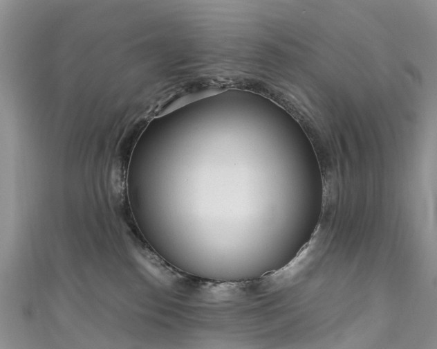 X0000110950186200906261328