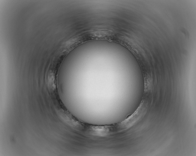 X0000110950187200906261328