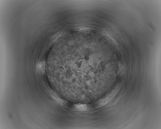 X0000110950189200906261328