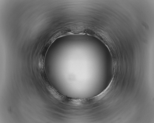 X0000110950190200906261328