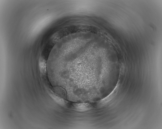 X0000110950191200906261328