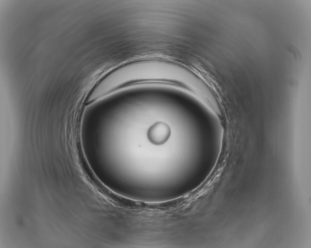 X0000110950193200906261327