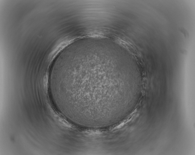 X0000110950194200906261327