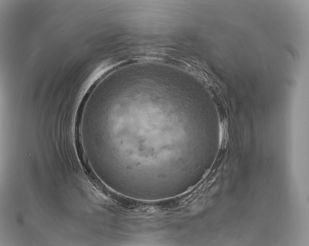 X0000110950195200906261327