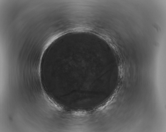 X0000110950196200906261327