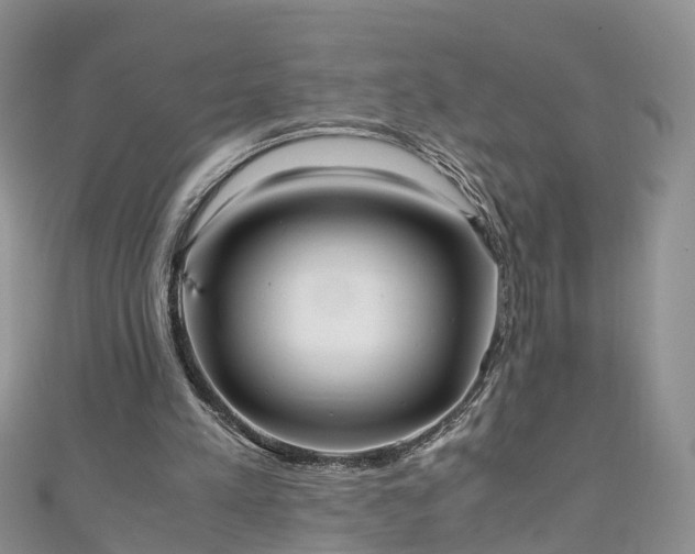 X0000110950197200906261327