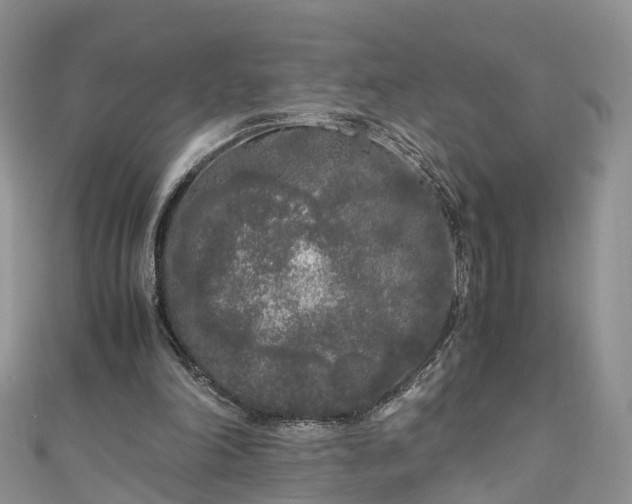 X0000110950198200906261327