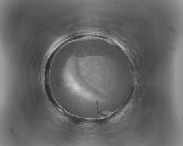 X0000110950199200906261327