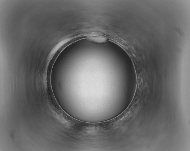 X0000110950200200906261327